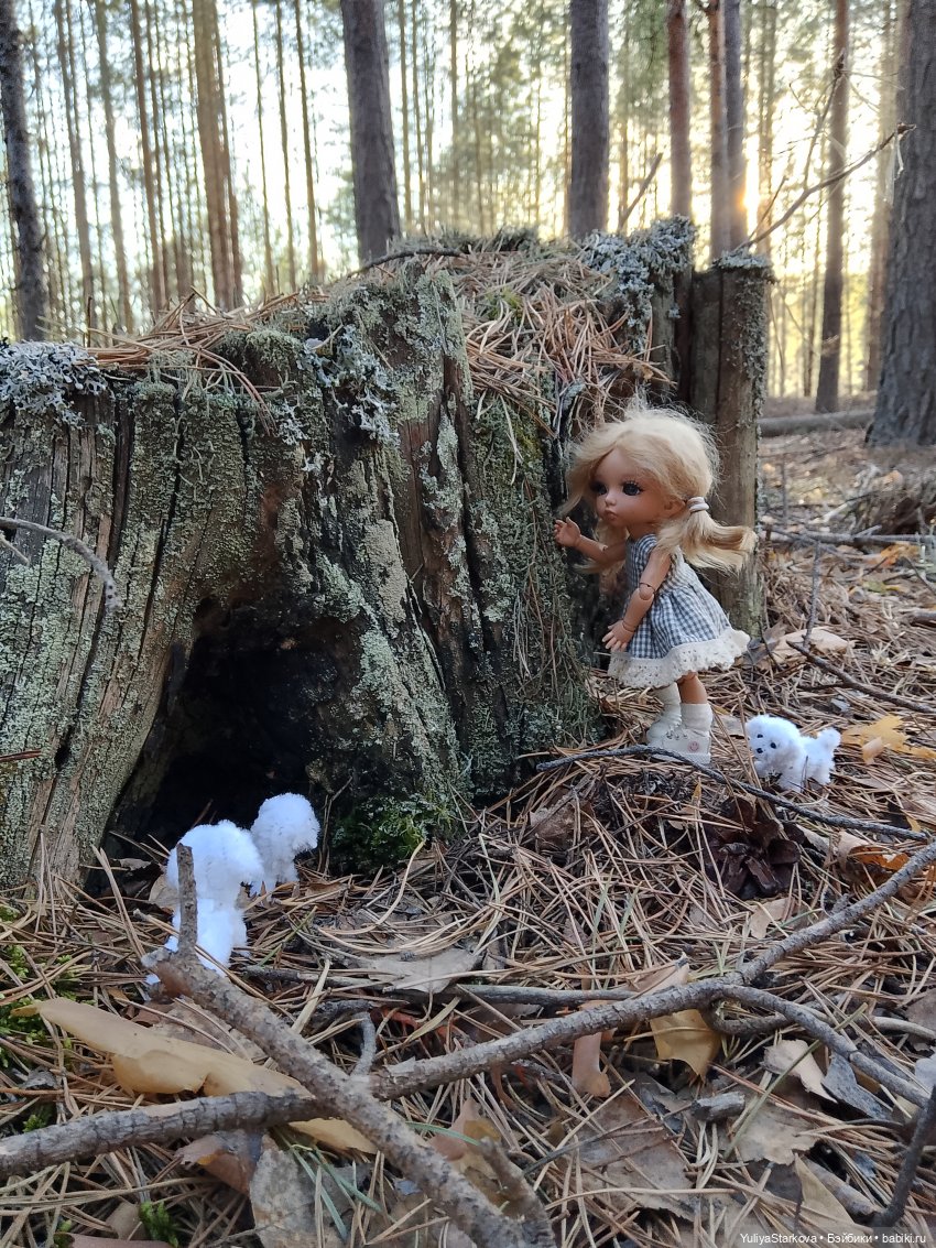 Сказочный день апреля — Куклы Fairyland (ФэйриЛэнд): BJD (БЖД) (фото 6)