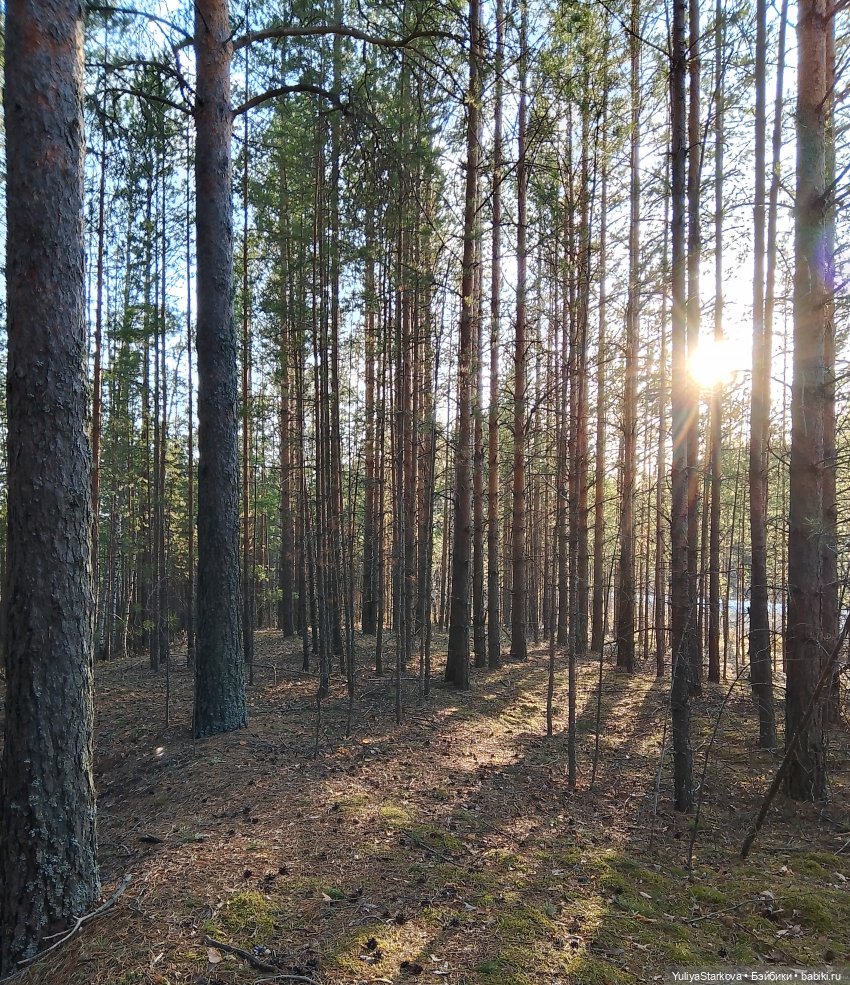 Сказочный день апреля — Куклы Fairyland (ФэйриЛэнд): BJD (БЖД)