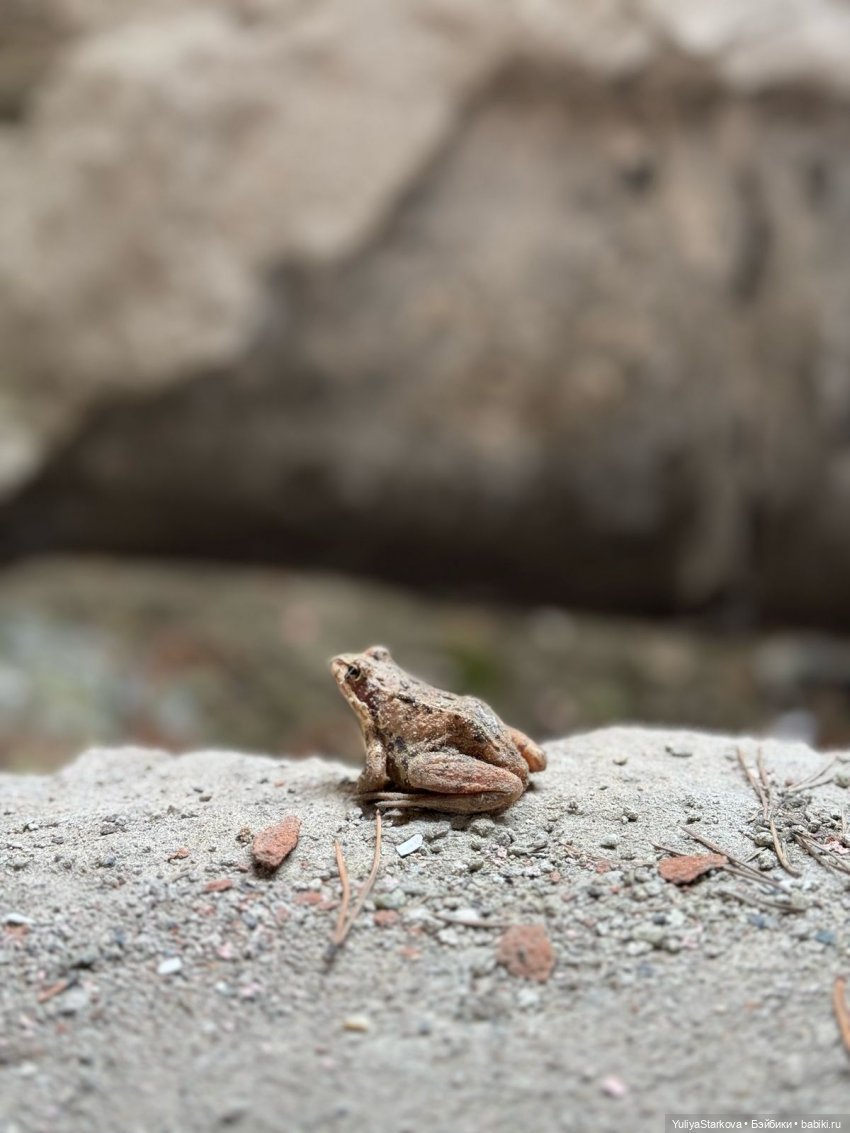 Сказочный день апреля — Куклы Fairyland (ФэйриЛэнд): BJD (БЖД) (фото 10)