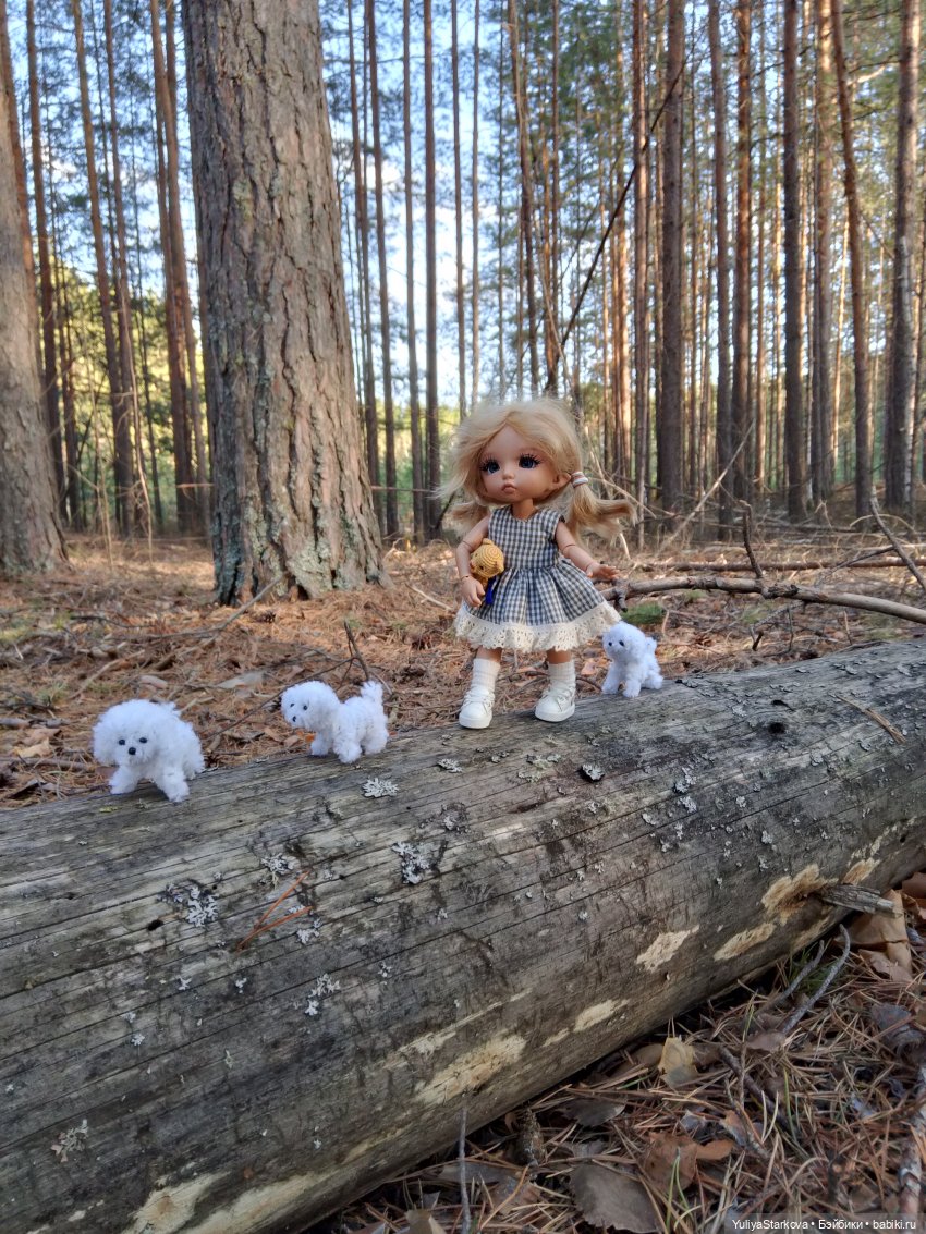 Сказочный день апреля — Куклы Fairyland (ФэйриЛэнд): BJD (БЖД) (фото 4)