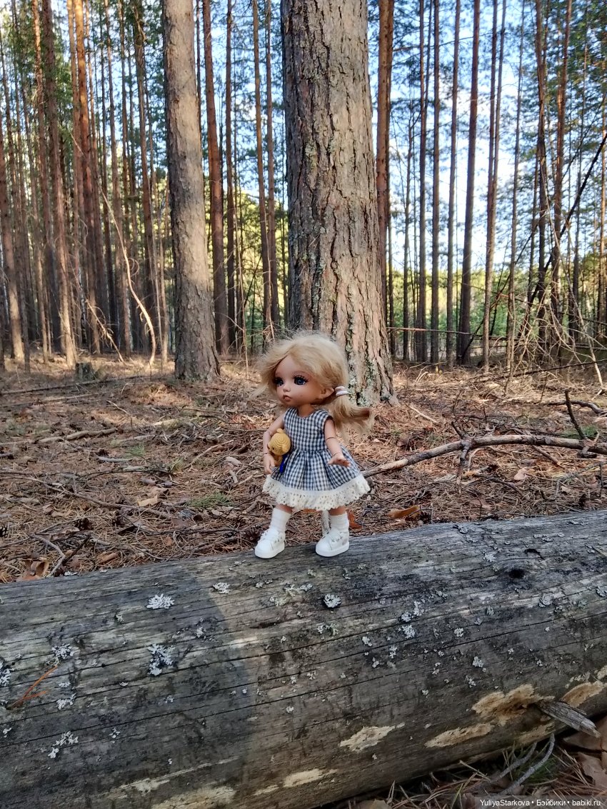 Сказочный день апреля — Куклы Fairyland (ФэйриЛэнд): BJD (БЖД) (фото 3)