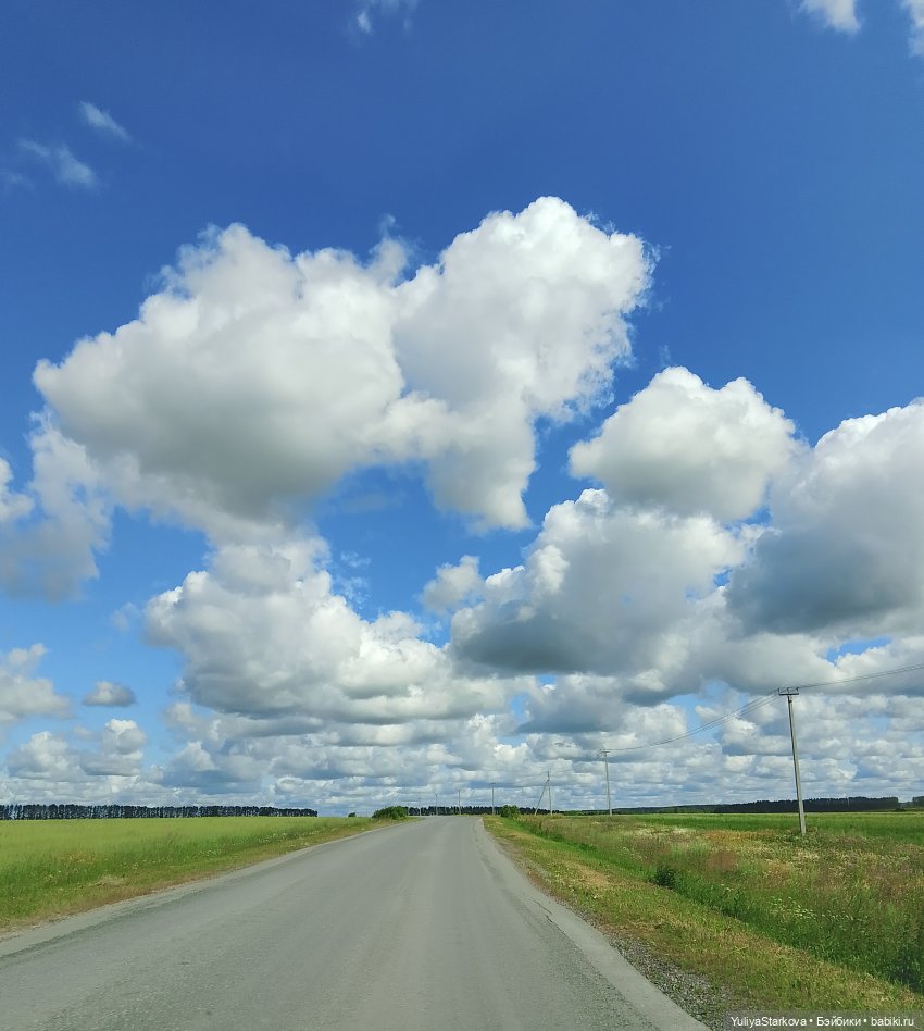 Гномики | Бэйбики Гномики — Куклы Fairyland (ФэйриЛэнд): BJD (БЖД) (фото 4)