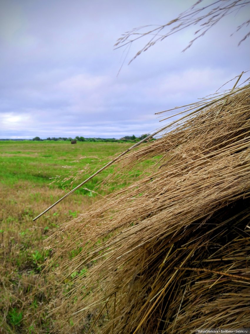 Август. Поле — Куклы Fairyland (ФэйриЛэнд): BJD (БЖД) (фото 4)