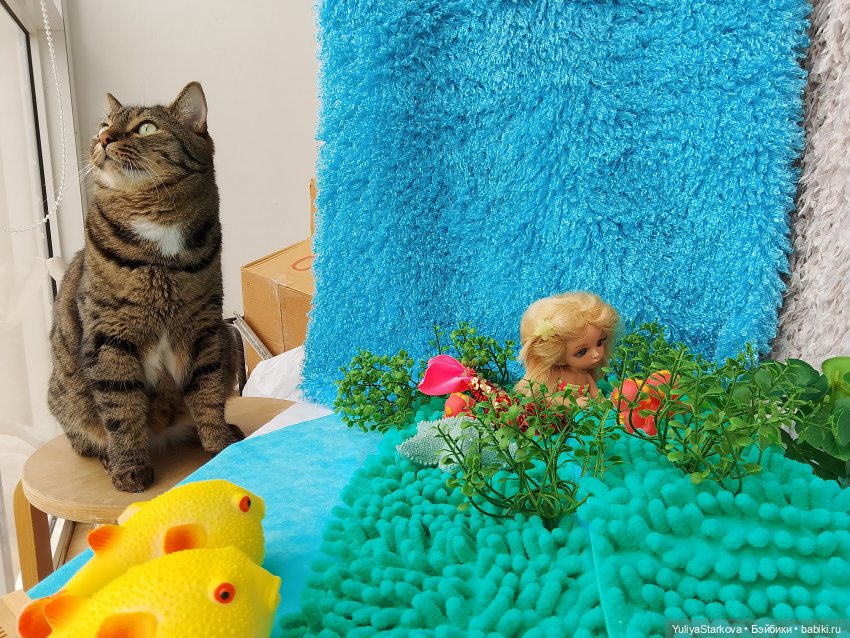 Русалочка, или Как мы участвовали в конкурсе