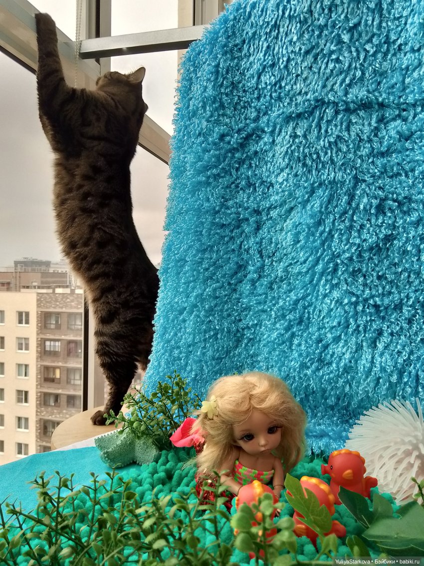 Русалочка, или Как мы участвовали в конкурсе