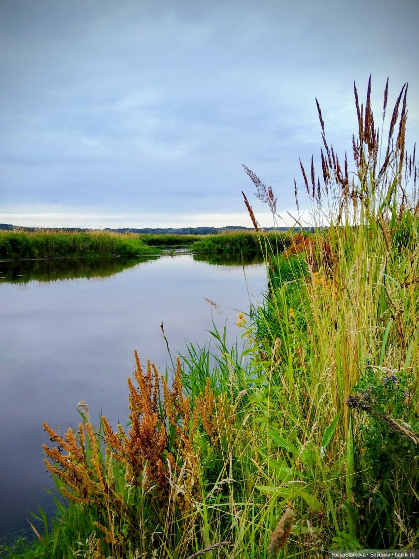 Русалочка, или Как мы участвовали в конкурсе