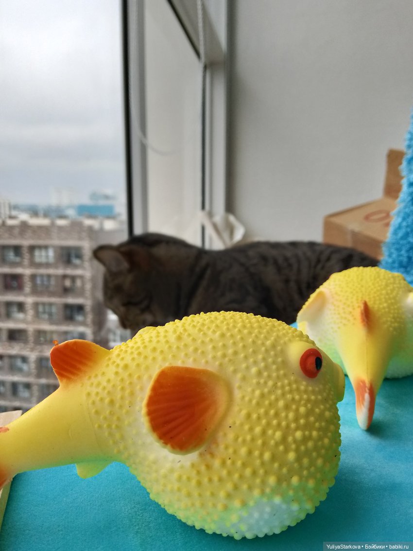 Русалочка, или Как мы участвовали в конкурсе (фото 10)