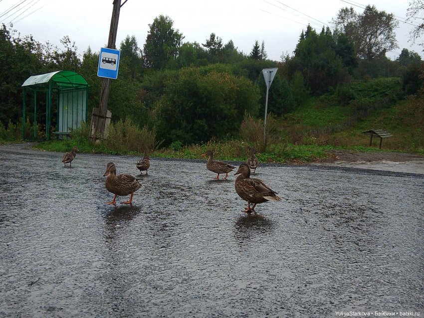Прогулка — Куклы Fairyland (ФэйриЛэнд): BJD (БЖД) (фото 2)