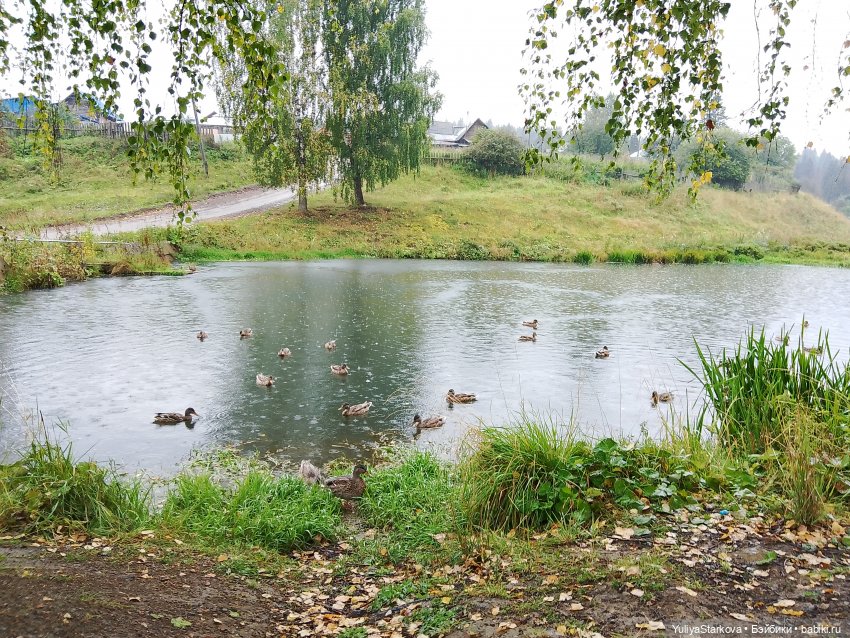 Прогулка — Куклы Fairyland (ФэйриЛэнд): BJD (БЖД) (фото 6)