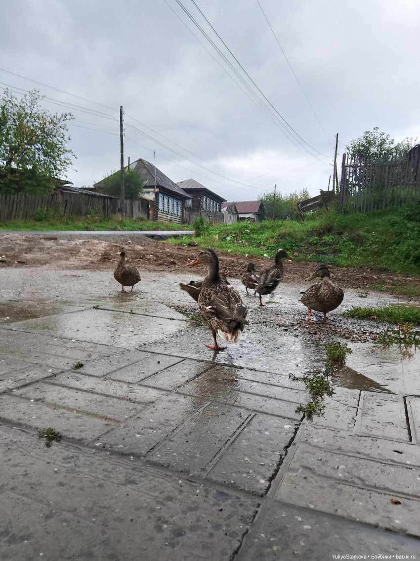 Прогулка — Куклы Fairyland (ФэйриЛэнд): BJD (БЖД) (фото 4)