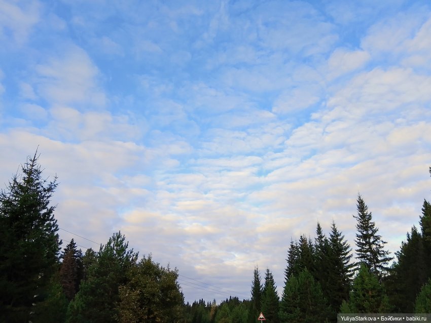 Однажды осенним днем — Куклы Fairyland (ФэйриЛэнд): BJD (БЖД)