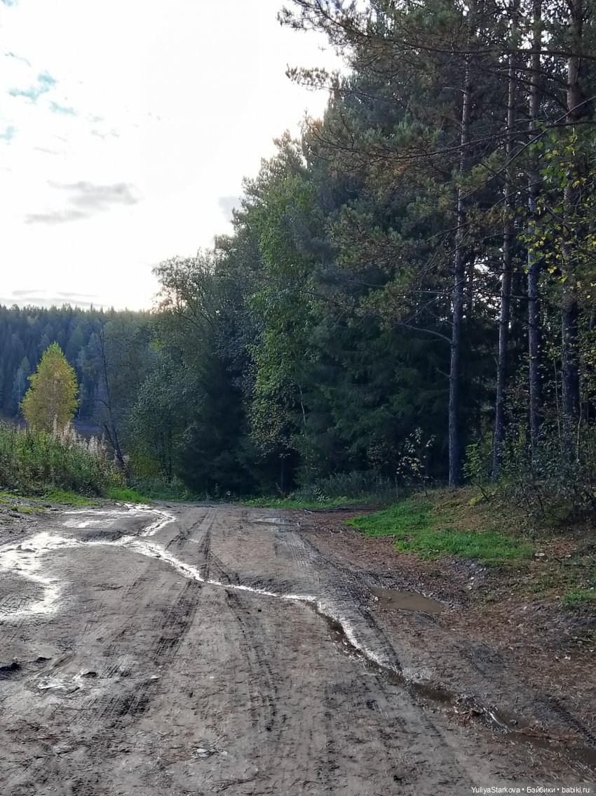 Однажды осенним днем — Куклы Fairyland (ФэйриЛэнд): BJD (БЖД) (фото 2)