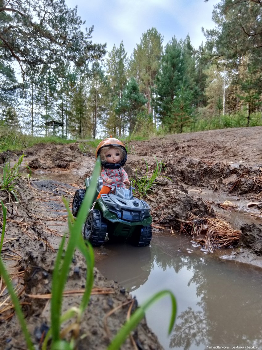 Однажды осенним днем — Куклы Fairyland (ФэйриЛэнд): BJD (БЖД) (фото 6)