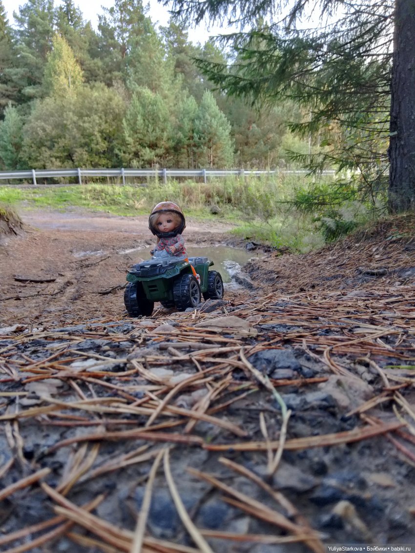 Однажды осенним днем — Куклы Fairyland (ФэйриЛэнд): BJD (БЖД) (фото 9)