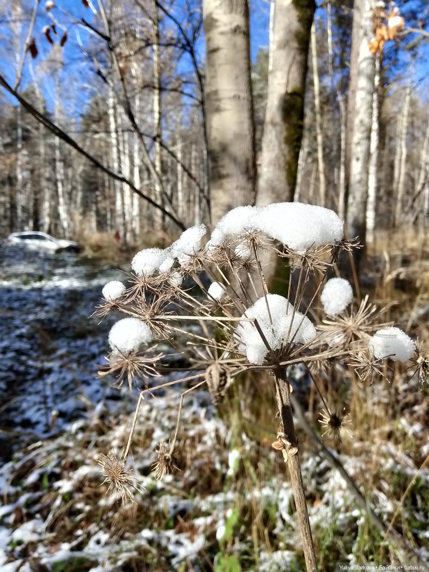 Что-то на зимнем | Бэйбики Что-то на зимнем — Куклы Fairyland (ФэйриЛэнд): BJD (БЖД) (фото 10)