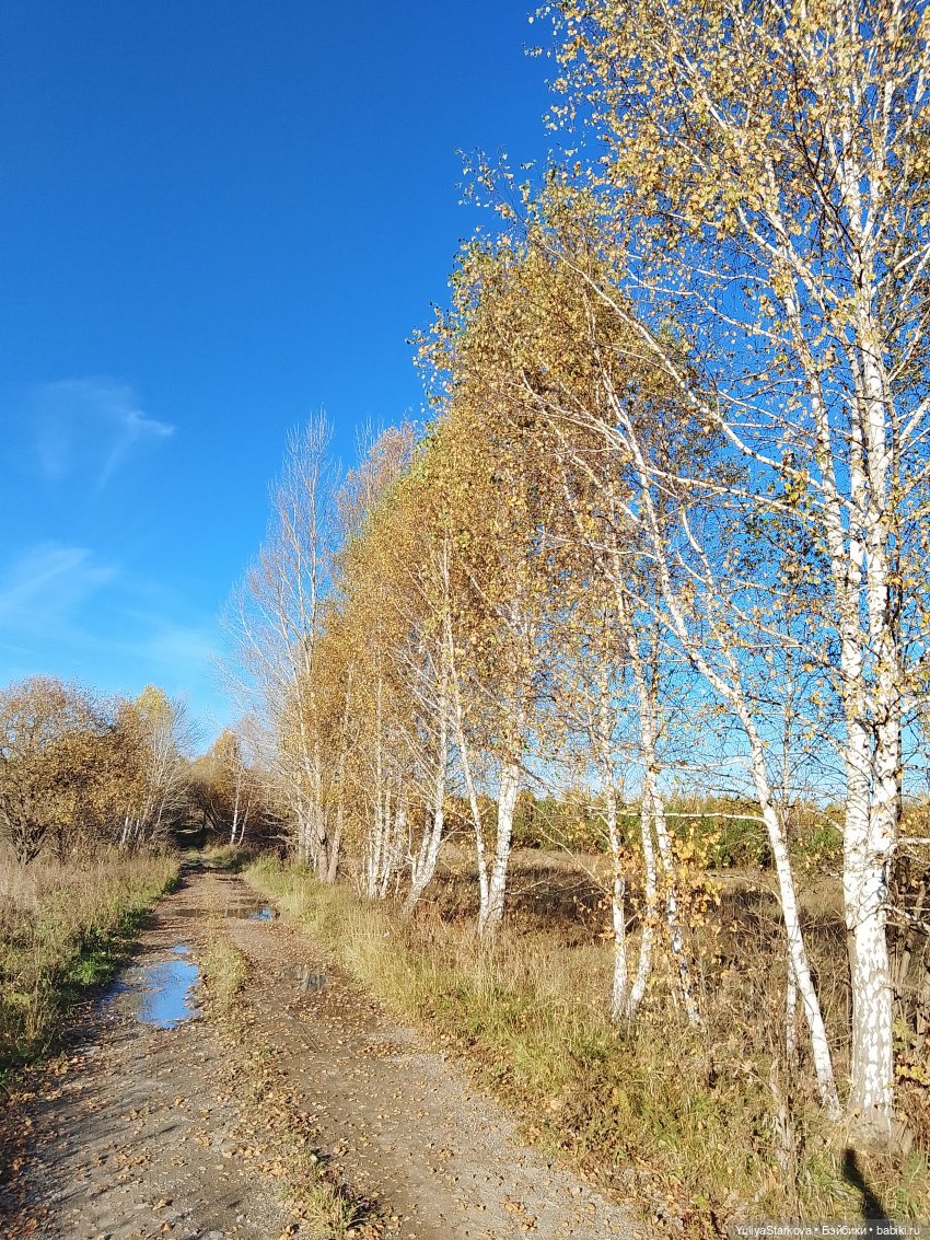 Что-то на зимнем | Бэйбики Что-то на зимнем — Куклы Fairyland (ФэйриЛэнд): BJD (БЖД)