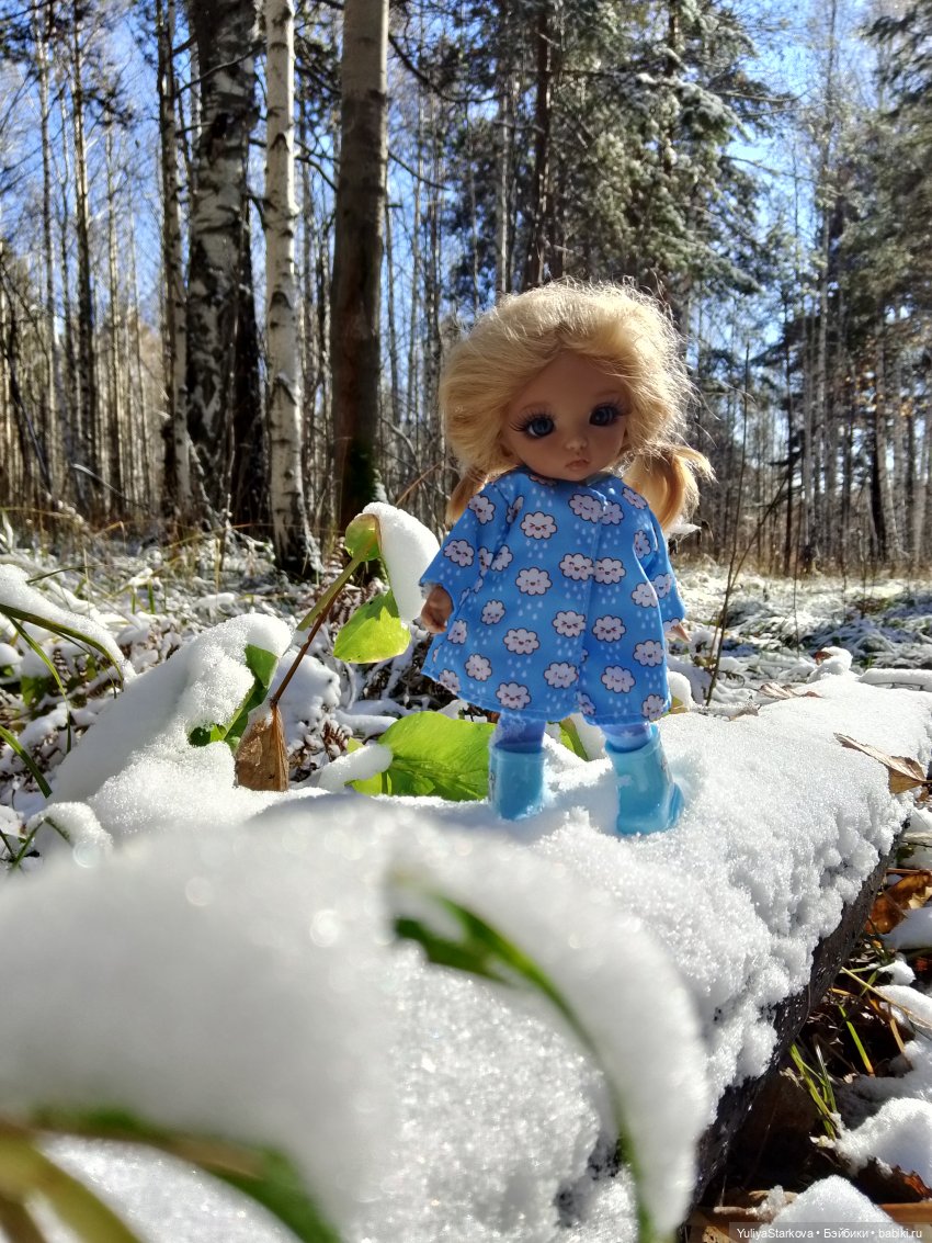 Что-то на зимнем | Бэйбики Что-то на зимнем — Куклы Fairyland (ФэйриЛэнд): BJD (БЖД) (фото 6)
