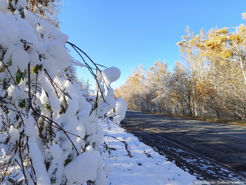 Что-то на зимнем | Бэйбики Что-то на зимнем — Куклы Fairyland (ФэйриЛэнд): BJD (БЖД) (фото 2)