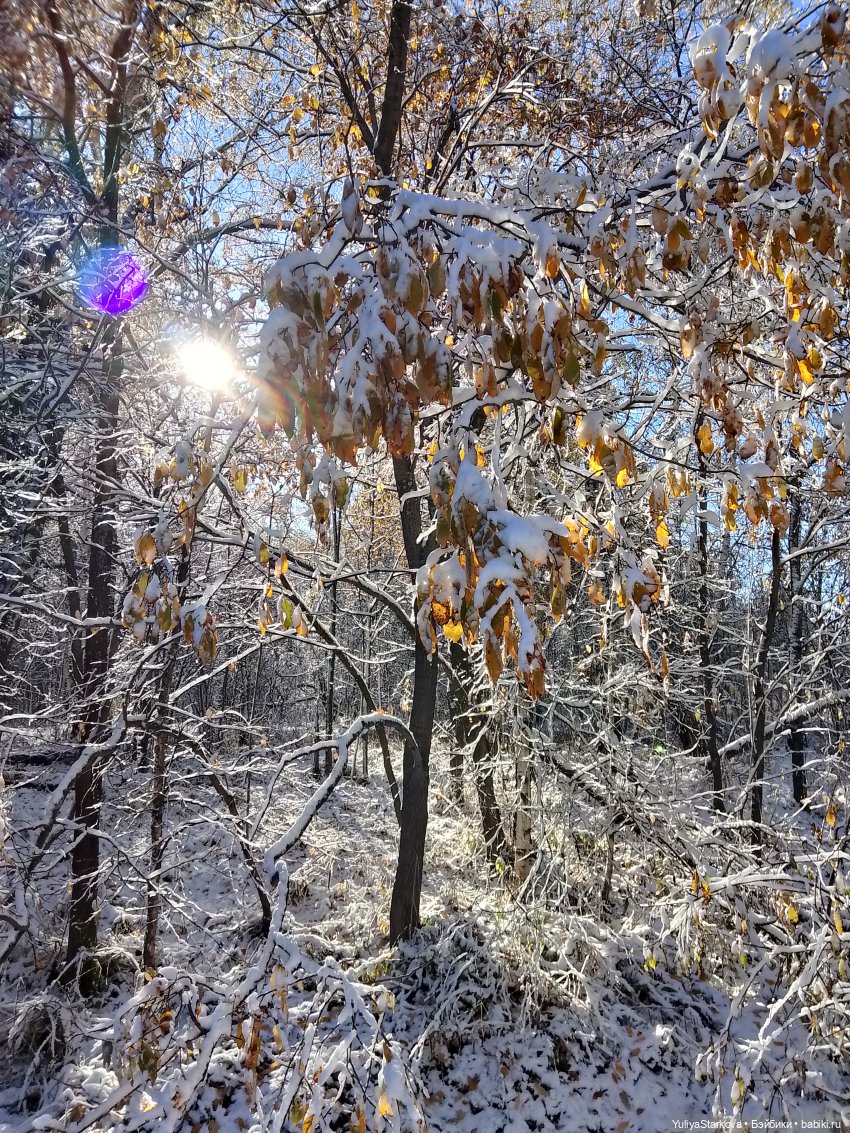 Что-то на зимнем | Бэйбики Что-то на зимнем — Куклы Fairyland (ФэйриЛэнд): BJD (БЖД) (фото 4)