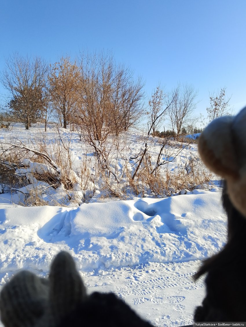 Одинь день января с вихтелями Моней и Витей