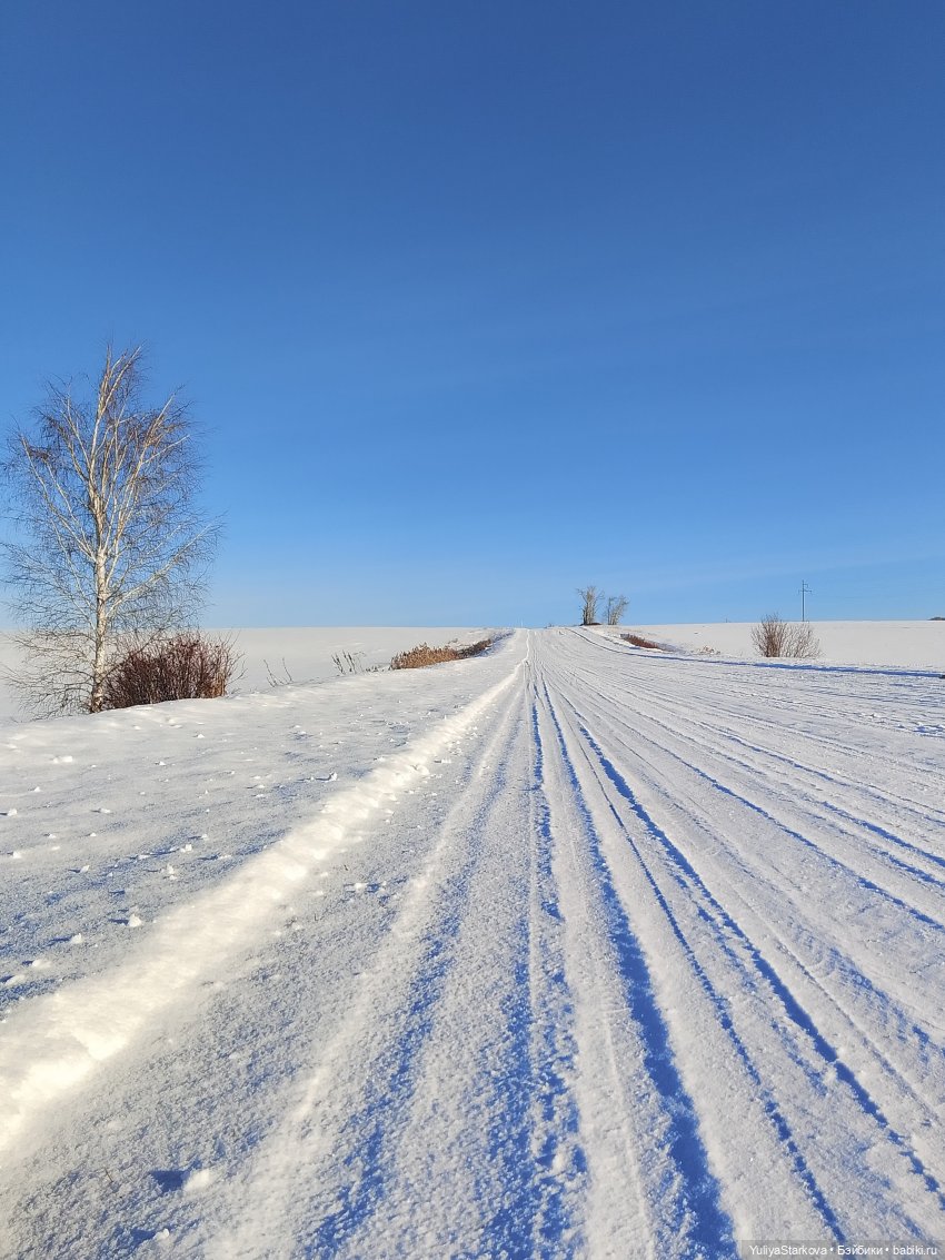 Одинь день января с вихтелями Моней и Витей
