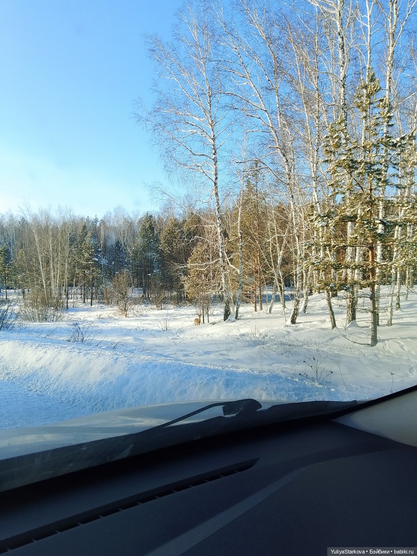 Одинь день января с вихтелями Моней и Витей