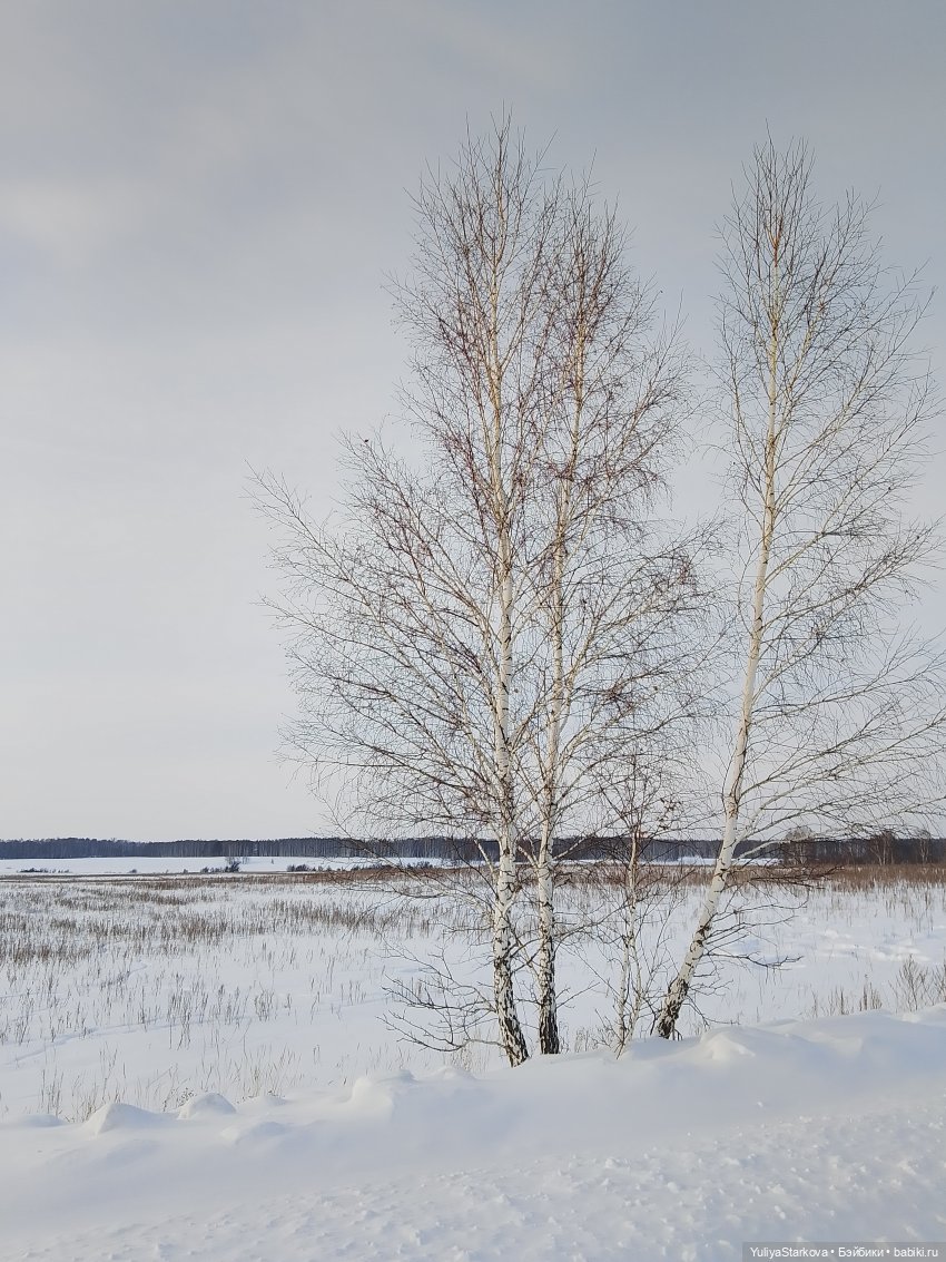 Пришла весна — Куклы и тела Obitsu 11 (Ob11): гибриды