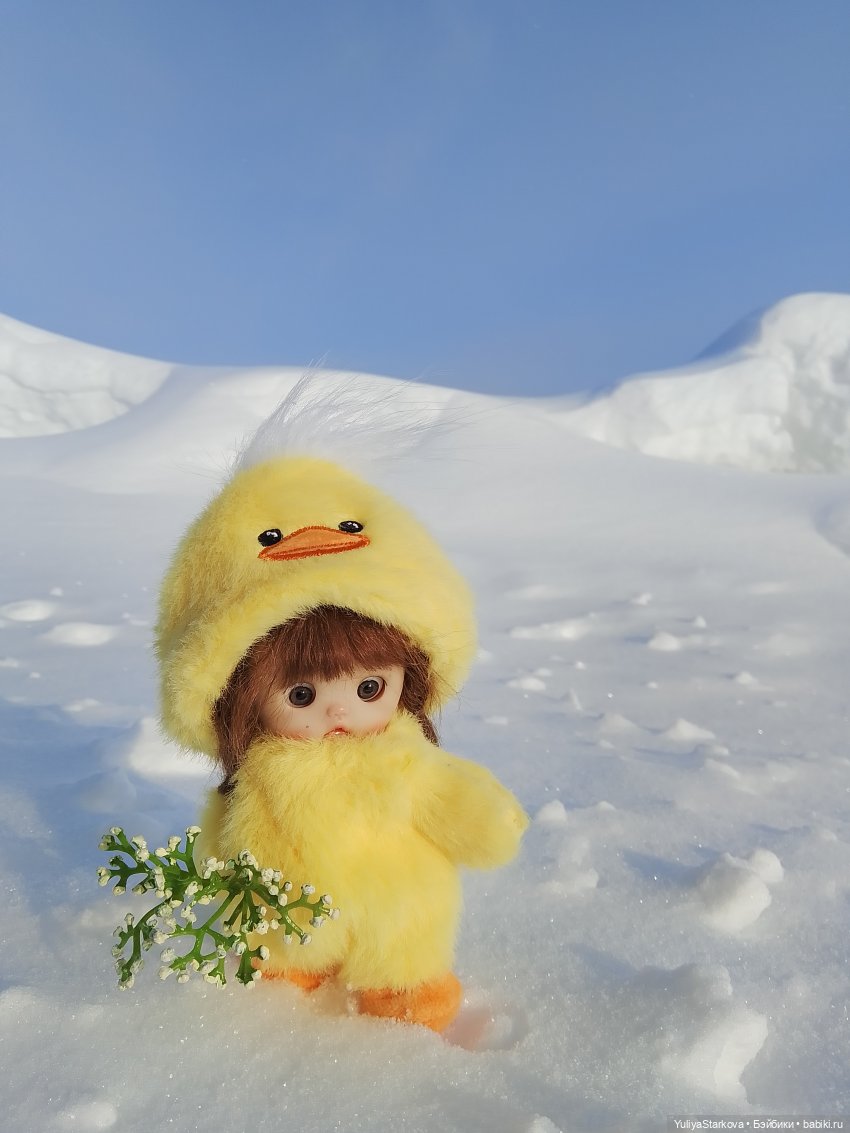 Пришла весна — Куклы и тела Obitsu 11 (Ob11): гибриды (фото 6)