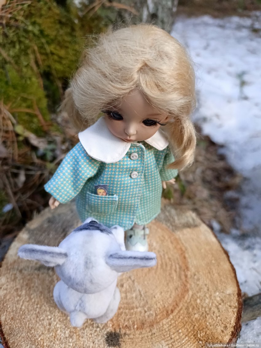 Наш новый питомец - бульдожка по имени Буль (фото 4)