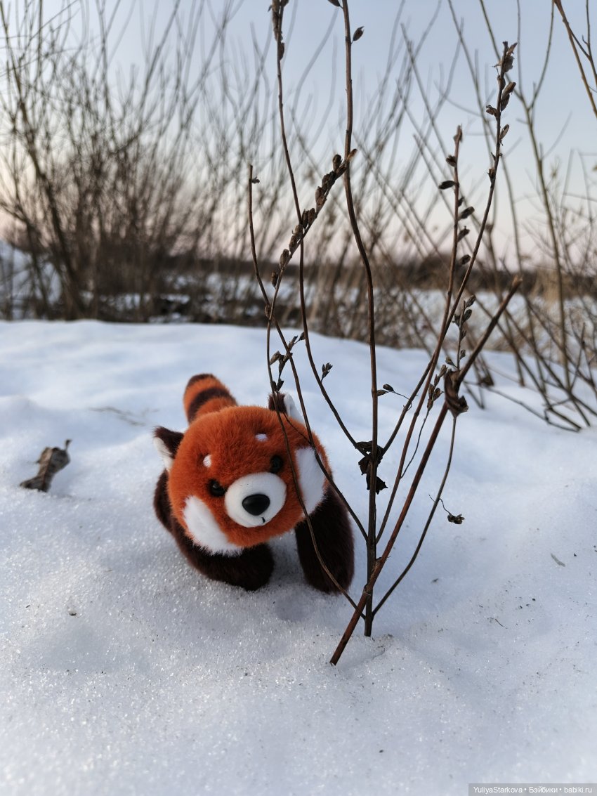 Ребята и зверята | Бэйбики Ребята и зверята — Куклы Rosemarie Anna Muller (Мюллер): Вихтели (Wichtel)