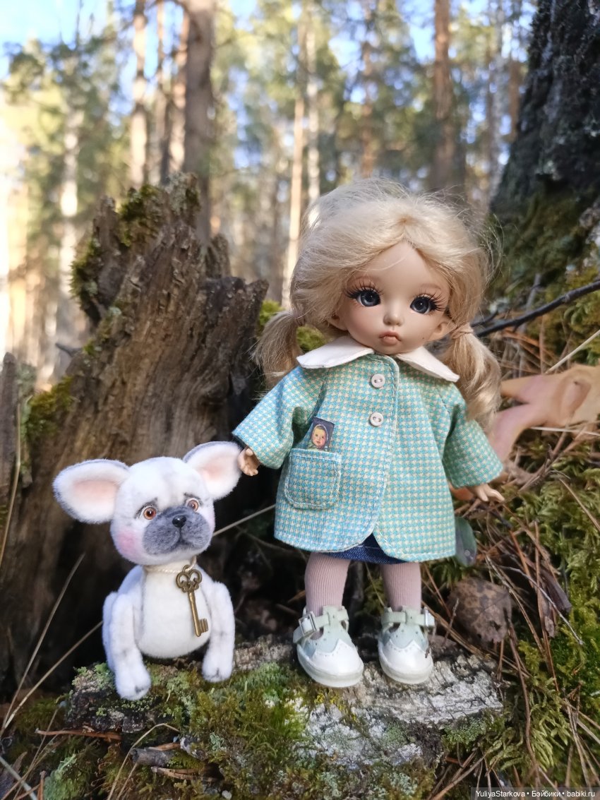 Наш новый питомец - бульдожка по имени Буль (фото 3)