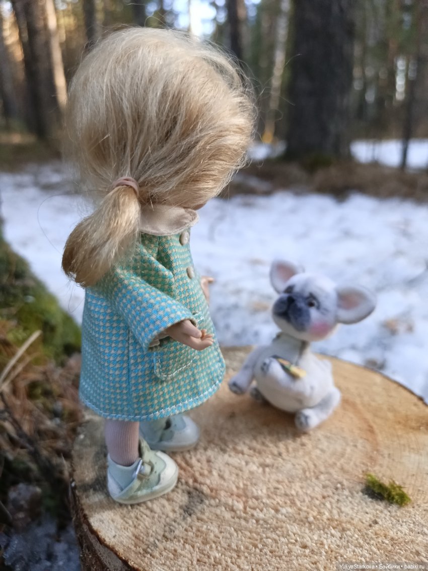 Наш новый питомец - бульдожка по имени Буль