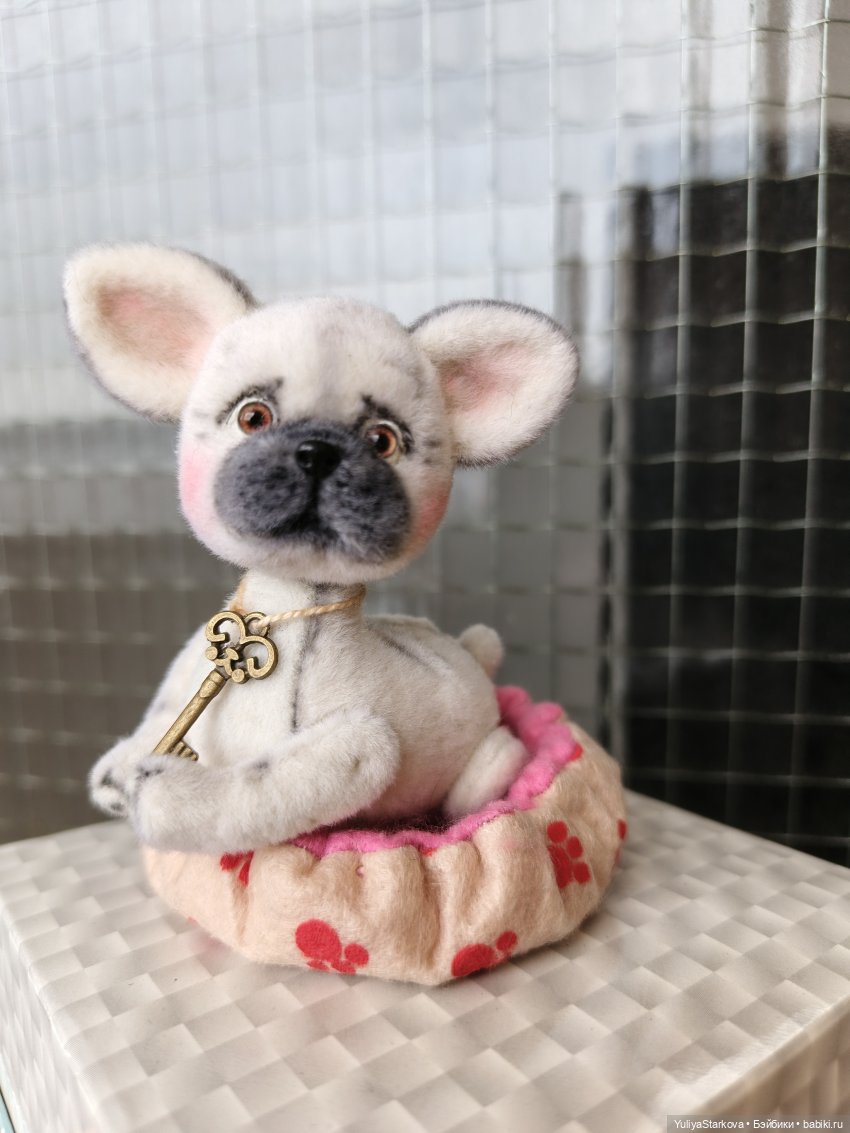 Наш новый питомец - бульдожка по имени Буль