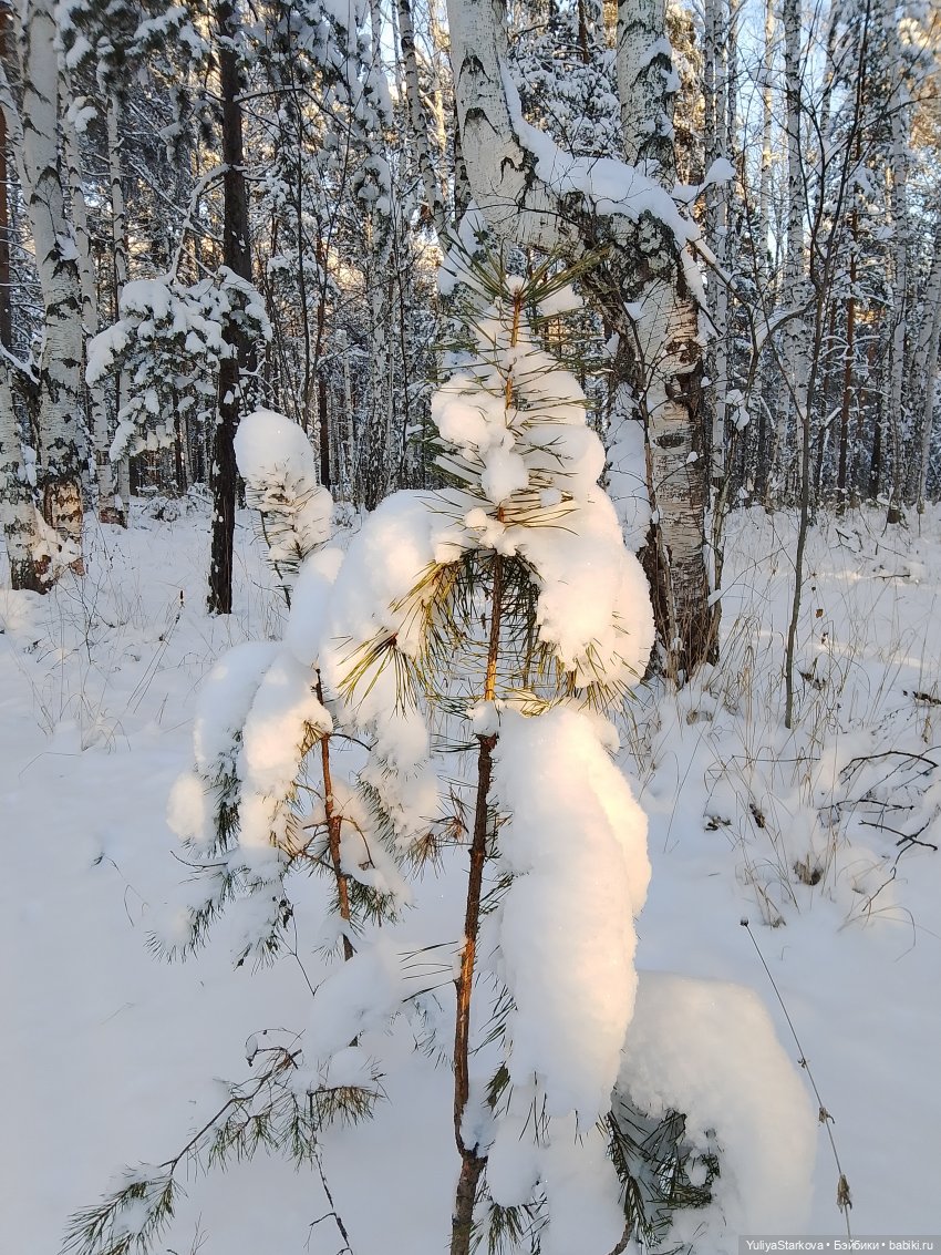 Путешествие в сказку — Куклы Fairyland (ФэйриЛэнд): BJD (БЖД) (фото 10)