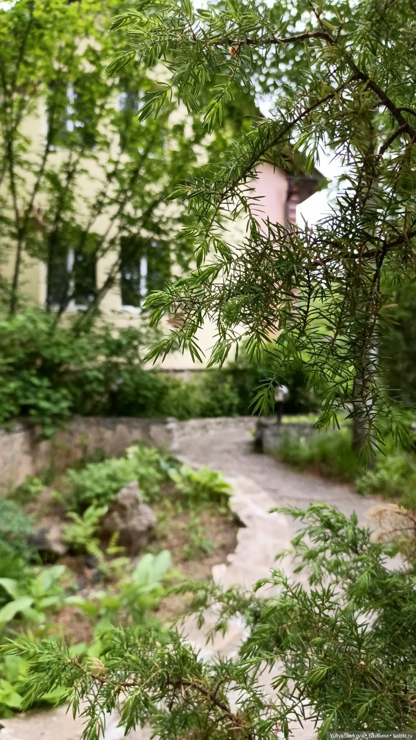 Прогулка у замка — Куклы Fairyland (ФэйриЛэнд): BJD (БЖД) (фото 7)