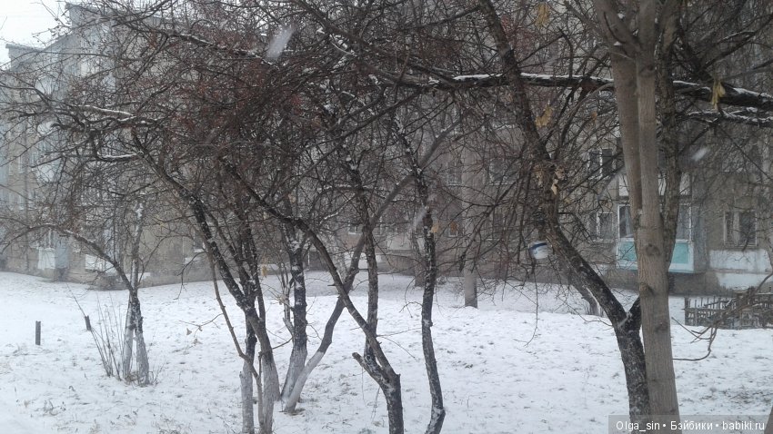В Сибири наступила зима. А у вас (фото 2)