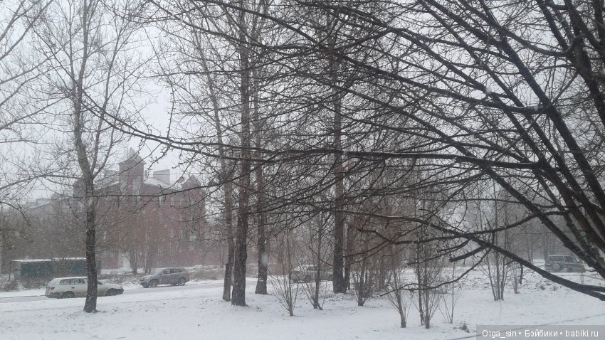 В Сибири наступила зима. А у вас (фото 4)