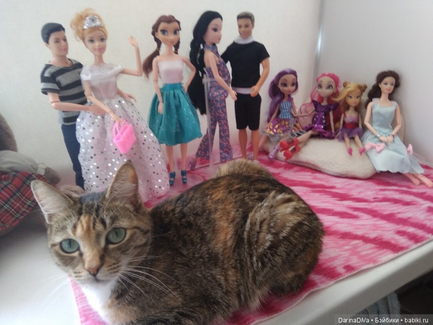 Кошка демонстративно показала, что в этом доме она главная куколка, достойная восхищения...