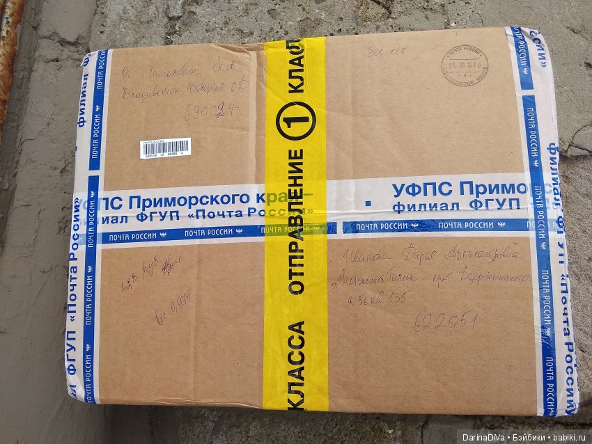 Наконец-то они пришли! Мои девочки из Команды Диких Сердец