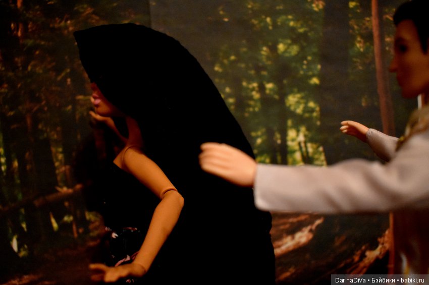 Хайденвиль. Глава 1. История (фото 3)