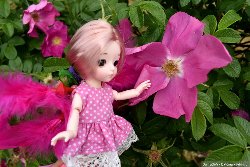 Магическая Школа для одаренных монстров Мадам Вивьен. Урок фееведенья в летнем лагере Монстров (фото 8)