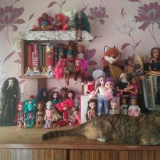 Просто моя кукло-полочка