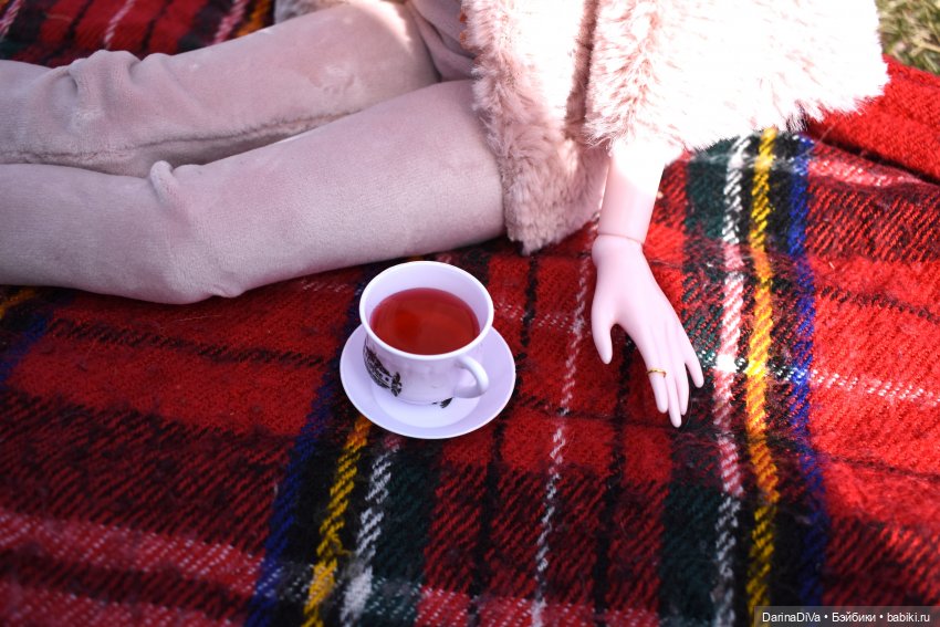 Пикник на Лисьей Горе — Куклы Звезды подиума (Angel Collection): шарнирные (фото 8)