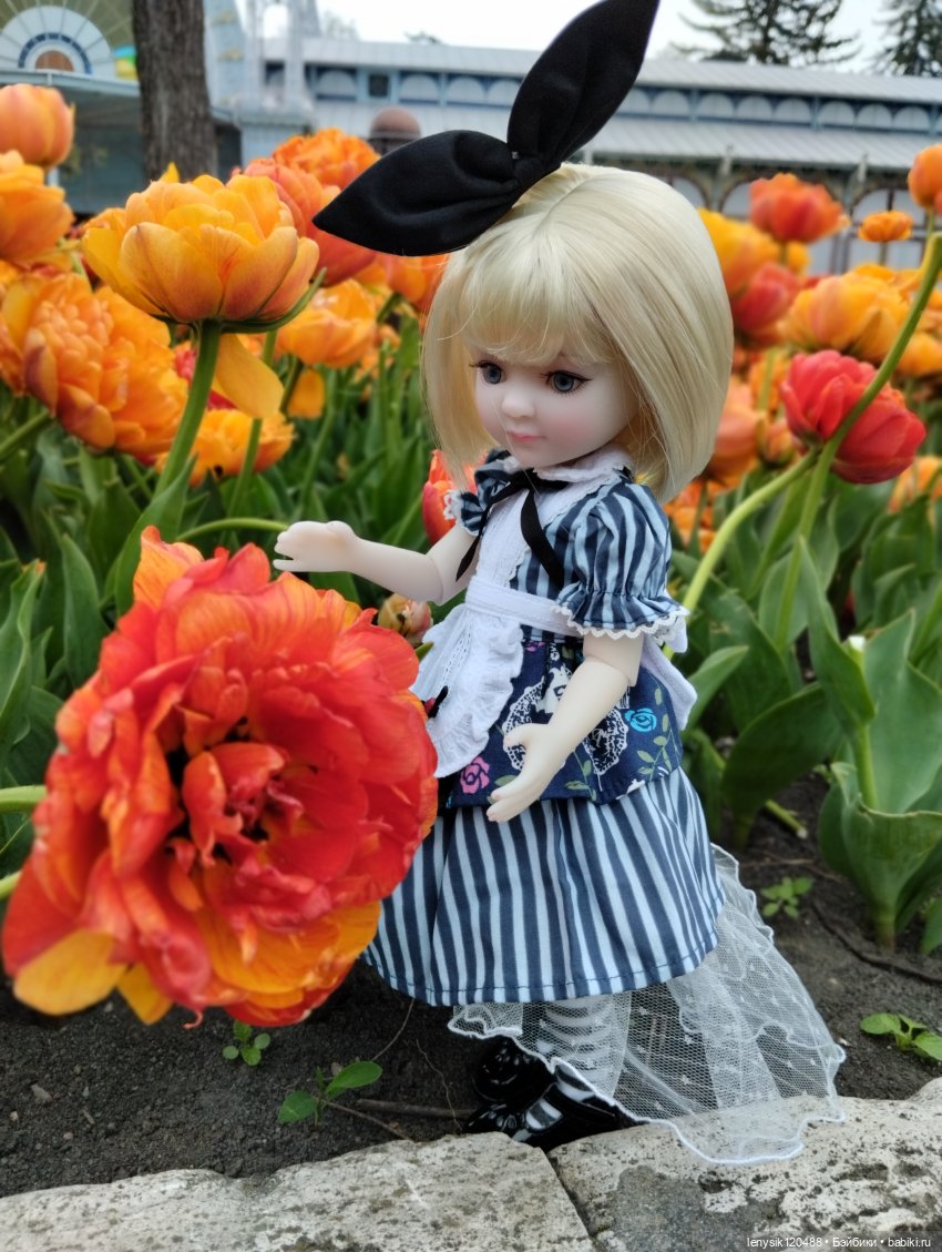 История большой любви. Алиса Руби Ред | Бэйбики История большой любви. Алиса Руби Ред (фото 8)