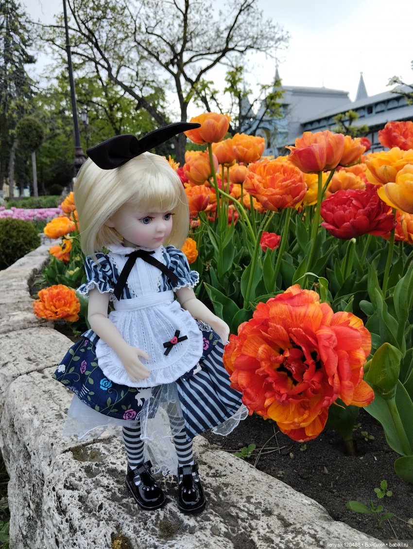 История большой любви. Алиса Руби Ред | Бэйбики История большой любви. Алиса Руби Ред