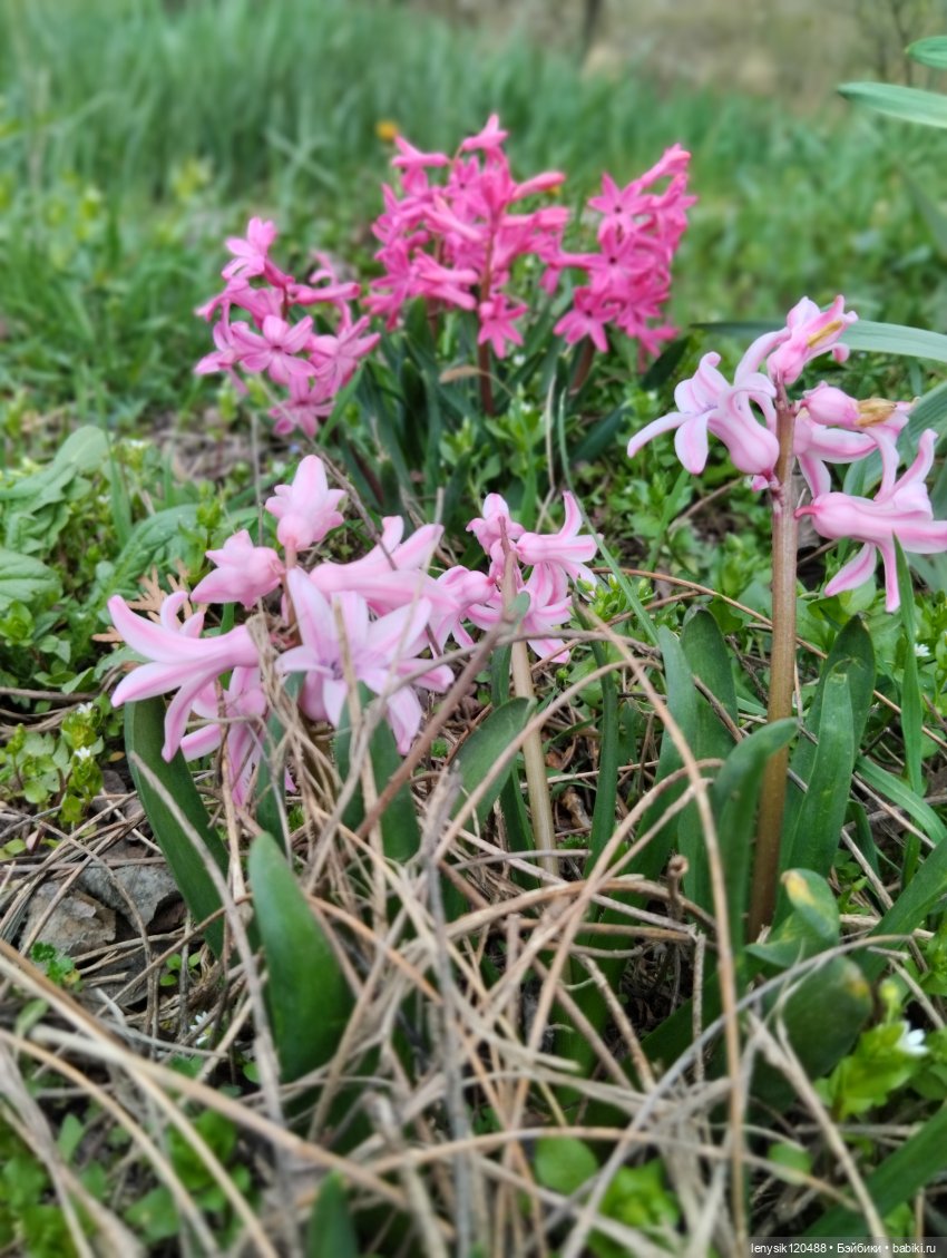 Весна в нашем городе — Одежда и обувь для кукол своими руками: фото (фото 3)