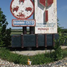 Удивительная находка