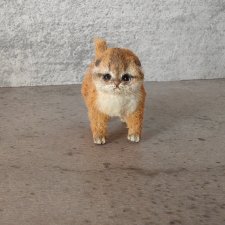 Авторский котенок от Анны Левини