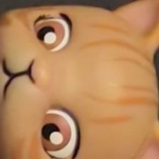 Котик гасяпон