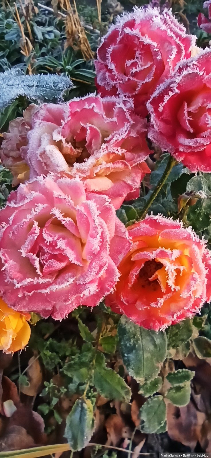 С Днём рождения!